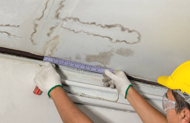 Reliable Burst Pipe Cleanup contractor in Reform, AL by Water Damage Irwin